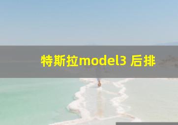 特斯拉model3 后排